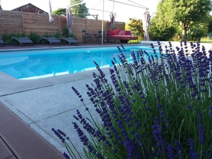 Chambres D Hotes ,Hotel ,Secret D'Une Nuit A Vicq Pres De Onnaing,Avec Piscine Exterior foto